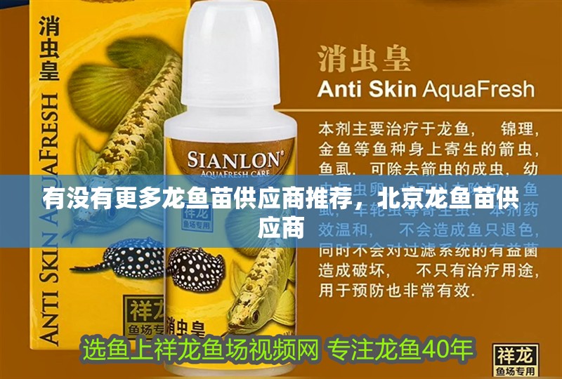 有沒有更多龍魚苗供應(yīng)商推薦，北京龍魚苗供應(yīng)商