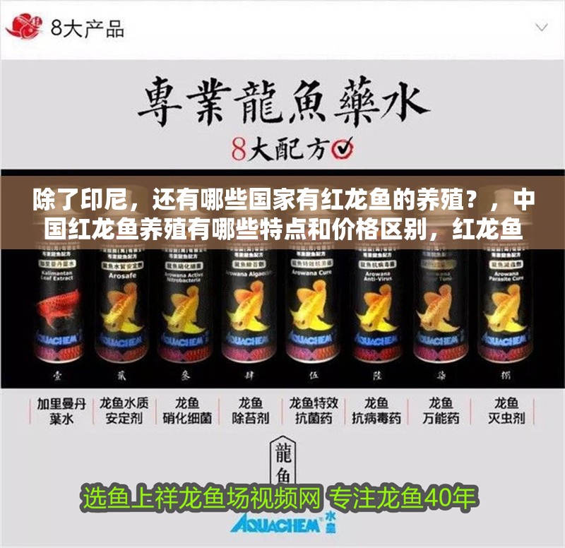 除了印尼，還有哪些國(guó)家有紅龍魚(yú)的養(yǎng)殖？，中國(guó)紅龍魚(yú)養(yǎng)殖有哪些特點(diǎn)和價(jià)格區(qū)別，紅龍魚(yú)養(yǎng)殖有哪些特點(diǎn)