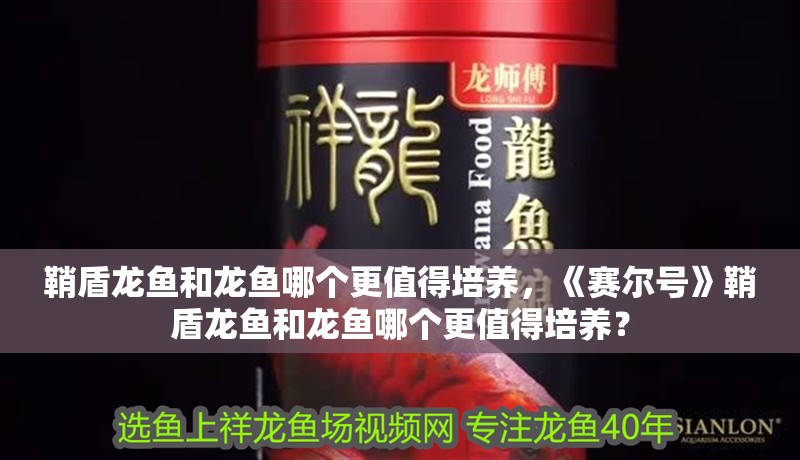 鞘盾龍魚和龍魚哪個更值得培養，《賽爾號》鞘盾龍魚和龍魚哪個更值得培養？