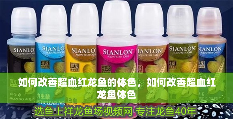 如何改善超血紅龍魚的體色,如何改善超血紅龍魚體色