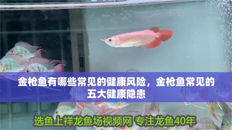 金槍魚有哪些常見的健康風(fēng)險(xiǎn),金槍魚常見的五大健康隱患