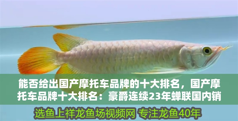 能否給出國產摩托車品牌的十大排名,國產摩托車品牌十大排名:豪爵連續23年蟬聯國內銷量冠軍