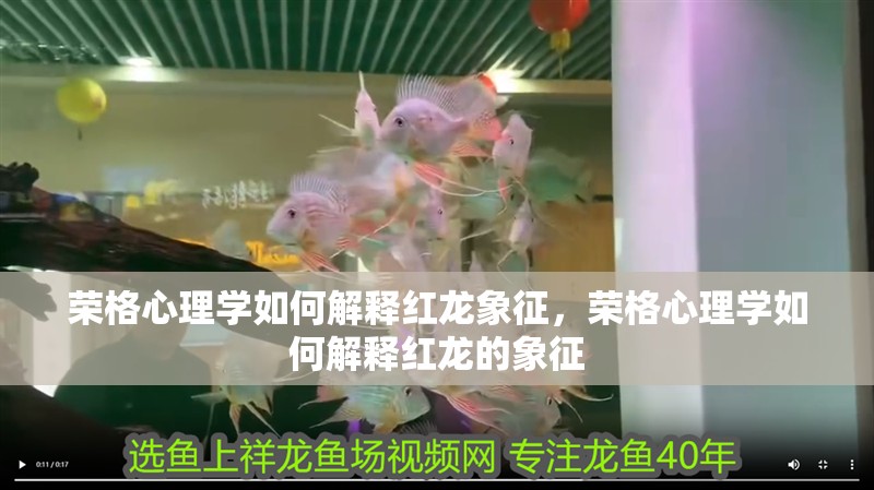 榮格心理學如何解釋紅龍象征，榮格心理學如何解釋紅龍的象征