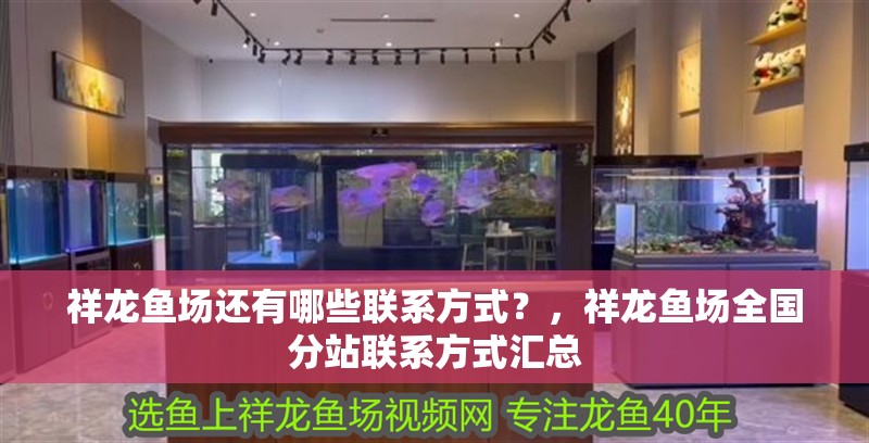 祥龍魚場(chǎng)還有哪些聯(lián)系方式?,祥龍魚場(chǎng)全國分站聯(lián)系方式匯總
