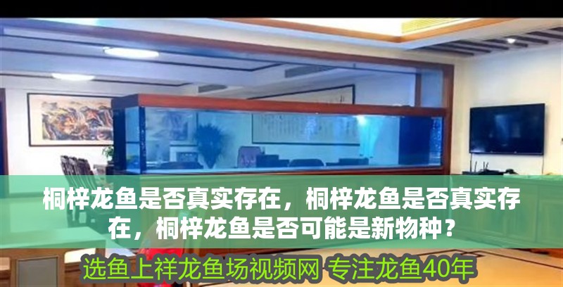 桐梓龍魚是否真實存在，桐梓龍魚是否真實存在，桐梓龍魚是否可能是新物種？