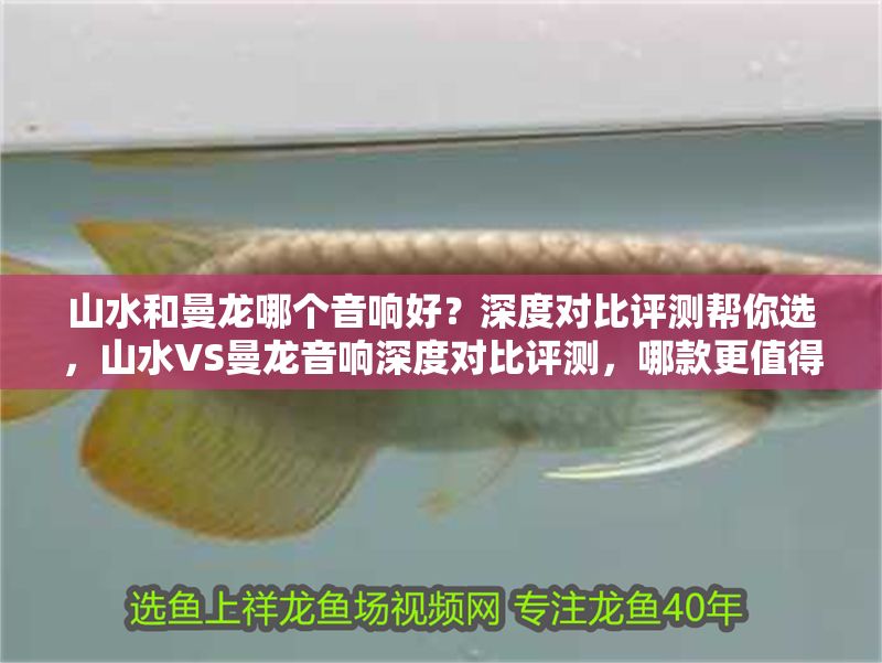 山水和曼龍哪個音響好？深度對比評測幫你選，山水VS曼龍音響深度對比評測，哪款更值得入手？