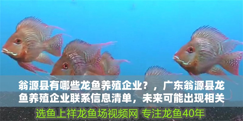 翁源縣有哪些龍魚養殖企業？，廣東翁源縣龍魚養殖企業聯系信息清單，未來可能出現相關嘗試