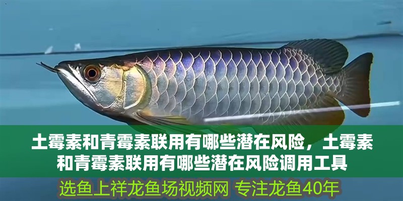 土霉素和青霉素聯用有哪些潛在風險，土霉素和青霉素聯用有哪些潛在風險調用工具