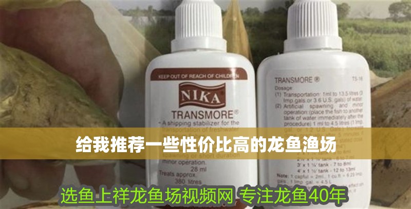 給我推薦一些性價比高的龍魚漁場