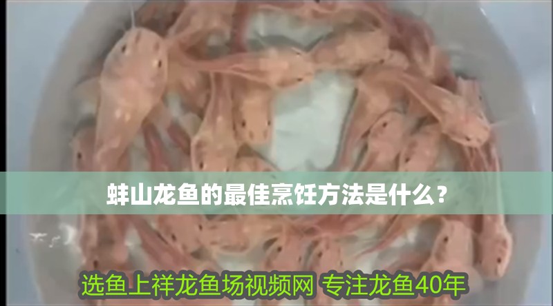 蚌山龍魚的最佳烹飪方法是什么？