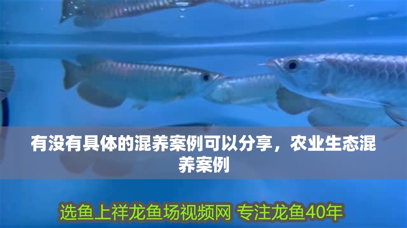 有沒有具體的混養(yǎng)案例可以分享，農(nóng)業(yè)生態(tài)混養(yǎng)案例