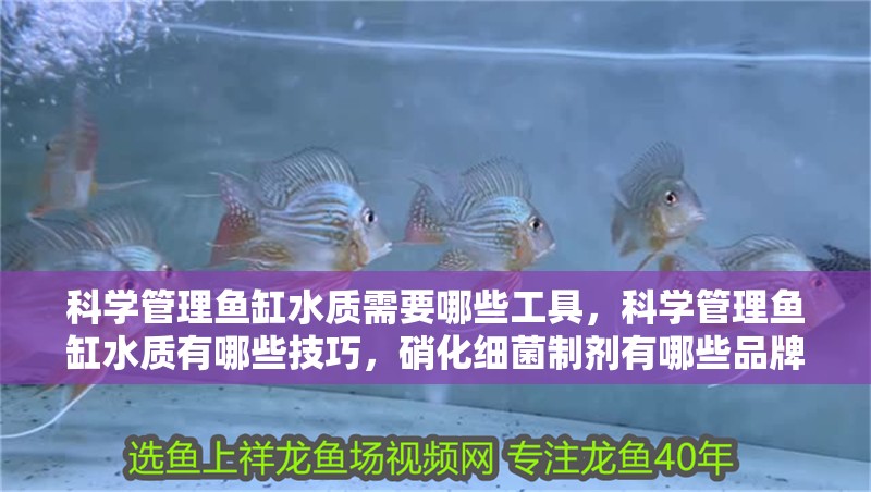 科學管理魚缸水質需要哪些工具，科學管理魚缸水質有哪些技巧，硝化細菌制劑有哪些品牌推薦