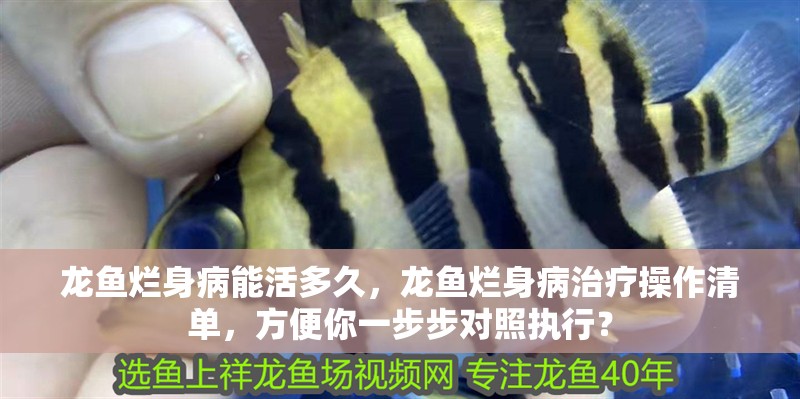 龍魚爛身病能活多久，龍魚爛身病治療操作清單，方便你一步步對照執行？