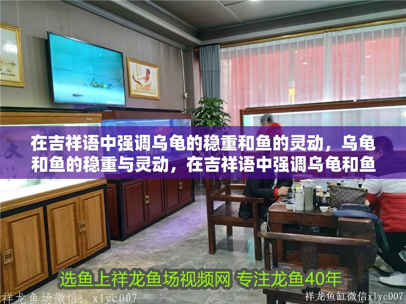 在吉祥語中強調烏龜?shù)姆€(wěn)重和魚的靈動，烏龜和魚的穩(wěn)重與靈動，在吉祥語中強調烏龜和魚的靈動