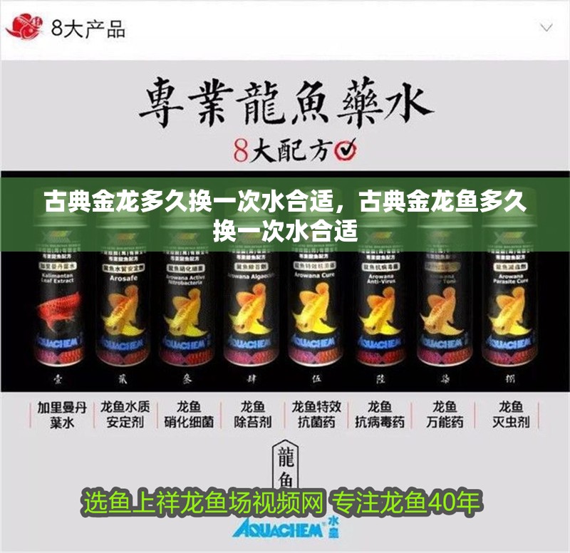 古典金龍多久換一次水合適，古典金龍魚多久換一次水合適