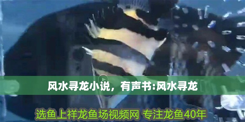風水尋龍小說，有聲書:風水尋龍