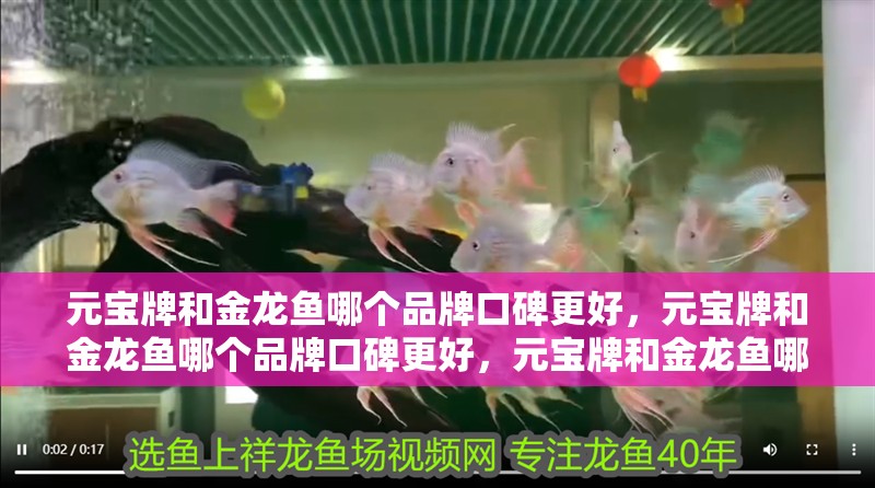元寶牌和金龍魚哪個品牌口碑更好，元寶牌和金龍魚哪個品牌口碑更好，元寶牌和金龍魚哪個更健康