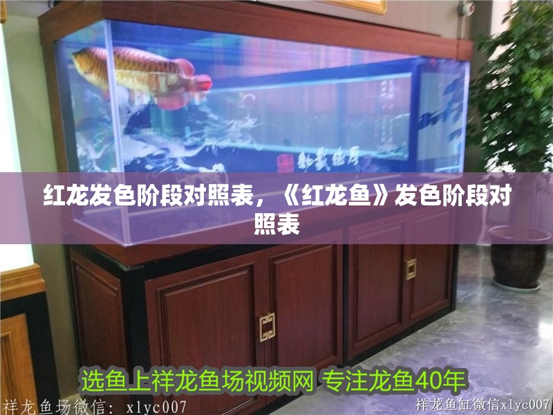 紅龍發色階段對照表，《紅龍魚》發色階段對照表