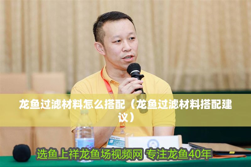 龍魚過濾材料怎么搭配（龍魚過濾材料搭配建議）