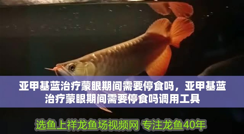 亞甲基藍治療蒙眼期間需要停食嗎，亞甲基藍治療蒙眼期間需要停食嗎調用工具