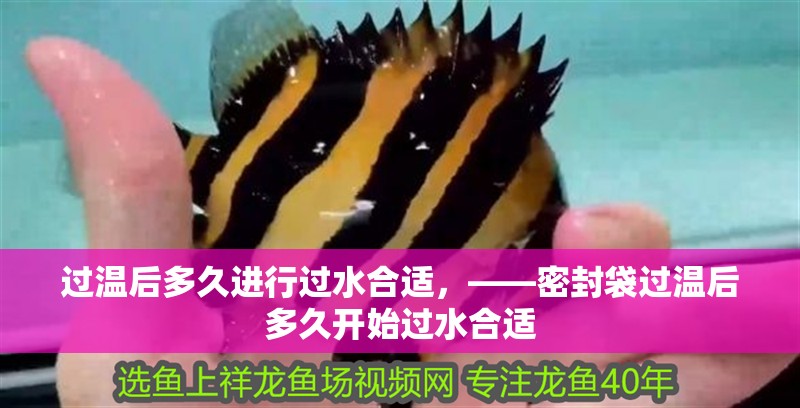 過溫后多久進行過水合適,——密封袋過溫后多久開始過水合適