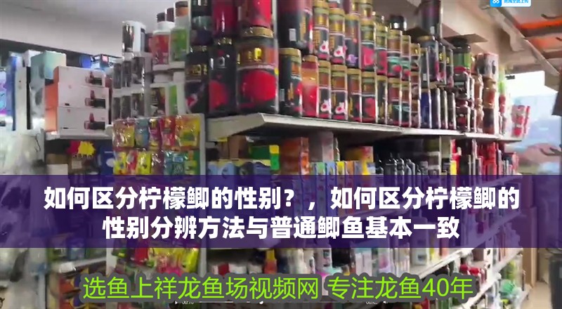 如何區分檸檬鯽的性別?,如何區分檸檬鯽的性別分辨方法與普通鯽魚基本一致
