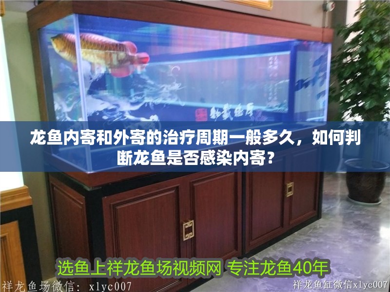 龍魚內寄和外寄的治療周期一般多久，如何判斷龍魚是否感染內寄？