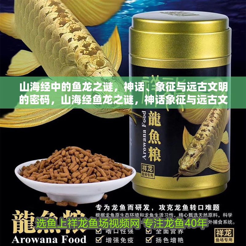 山海經中的魚龍之謎，神話、象征與遠古文明的密碼，山海經魚龍之謎，神話象征與遠古文明密碼解析