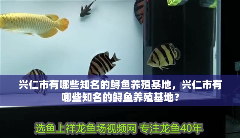 興仁市有哪些知名的鱘魚養(yǎng)殖基地，興仁市有哪些知名的鱘魚養(yǎng)殖基地？