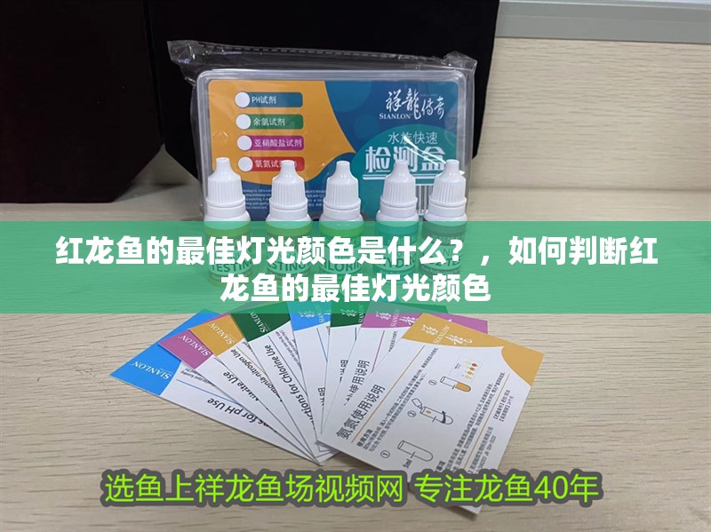 紅龍魚的最佳燈光顏色是什么？，如何判斷紅龍魚的最佳燈光顏色