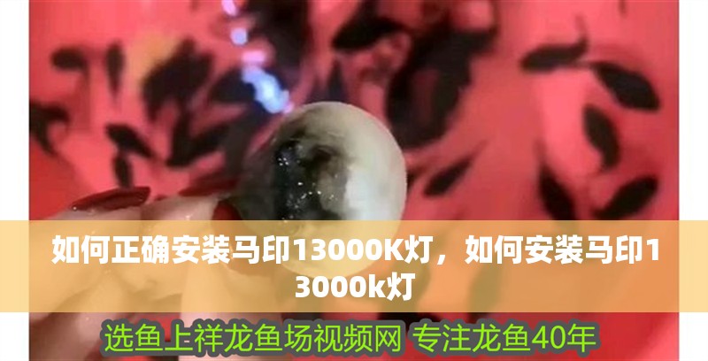 如何正確安裝馬印13000K燈，如何安裝馬印13000k燈