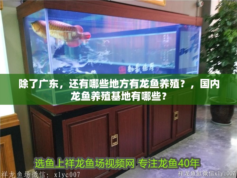 除了廣東，還有哪些地方有龍魚養殖？，國內龍魚養殖基地有哪些？