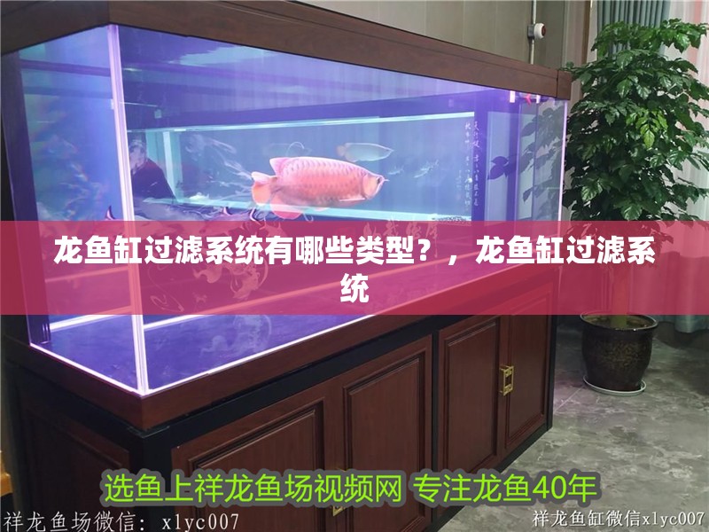龍魚缸過濾系統有哪些類型？，龍魚缸過濾系統