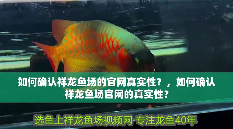 如何確認(rèn)祥龍魚場的官網(wǎng)真實(shí)性？，如何確認(rèn)祥龍魚場官網(wǎng)的真實(shí)性？