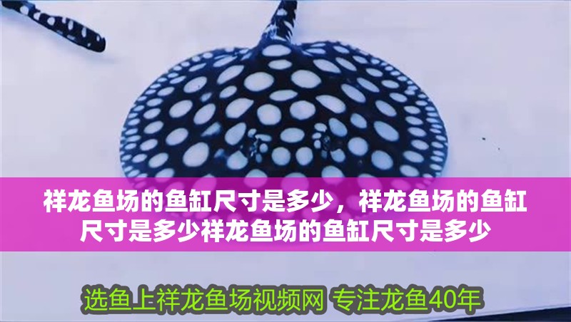 祥龍魚場的魚缸尺寸是多少，祥龍魚場的魚缸尺寸是多少祥龍魚場的魚缸尺寸是多少