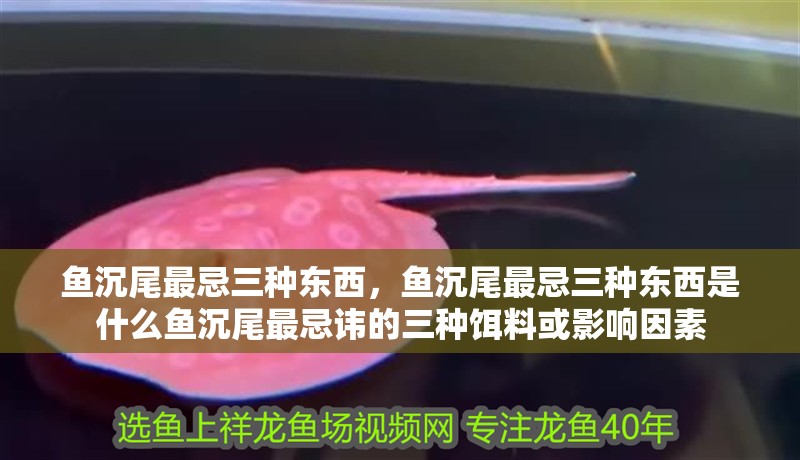 魚沉尾最忌三種東西，魚沉尾最忌三種東西是什么魚沉尾最忌諱的三種餌料或影響因素