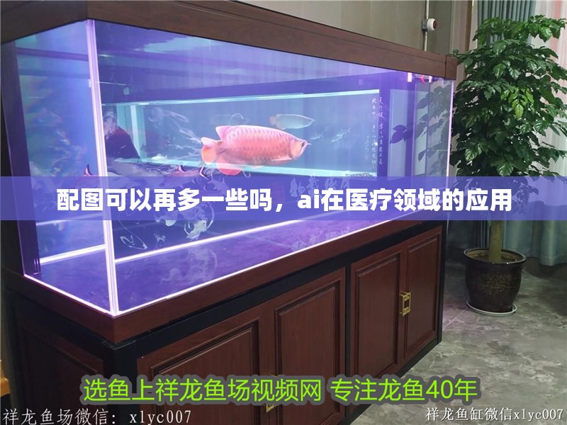 配圖可以再多一些嗎，ai在醫療領域的應用