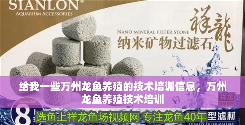 給我一些萬州龍魚養殖的技術培訓信息，萬州龍魚養殖技術培訓