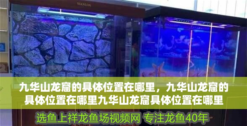 九華山龍窟的具體位置在哪里,九華山龍窟的具體位置在哪里九華山龍窟具體位置在哪里