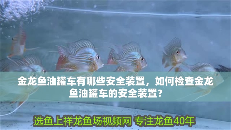 金龍魚油罐車有哪些安全裝置,如何檢查金龍魚油罐車的安全裝置?