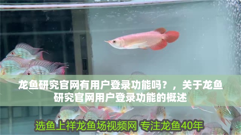 龍魚(yú)研究官網(wǎng)有用戶登錄功能嗎？，關(guān)于龍魚(yú)研究官網(wǎng)用戶登錄功能的概述