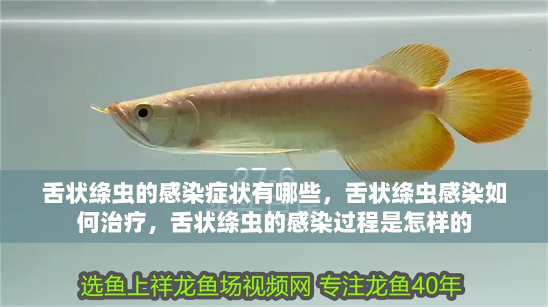 舌狀絳蟲的感染癥狀有哪些，舌狀絳蟲感染如何治療，舌狀絳蟲的感染過程是怎樣的