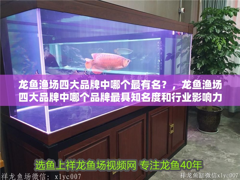 龍魚漁場四大品牌中哪個最有名？，龍魚漁場四大品牌中哪個品牌最具知名度和行業影響力