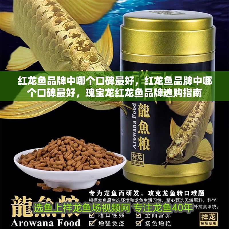 紅龍魚(yú)品牌中哪個(gè)口碑最好，紅龍魚(yú)品牌中哪個(gè)口碑最好，瑰寶龍紅龍魚(yú)品牌選購(gòu)指南