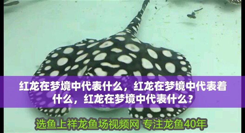 紅龍在夢境中代表什么，紅龍在夢境中代表著什么，紅龍在夢境中代表什么？