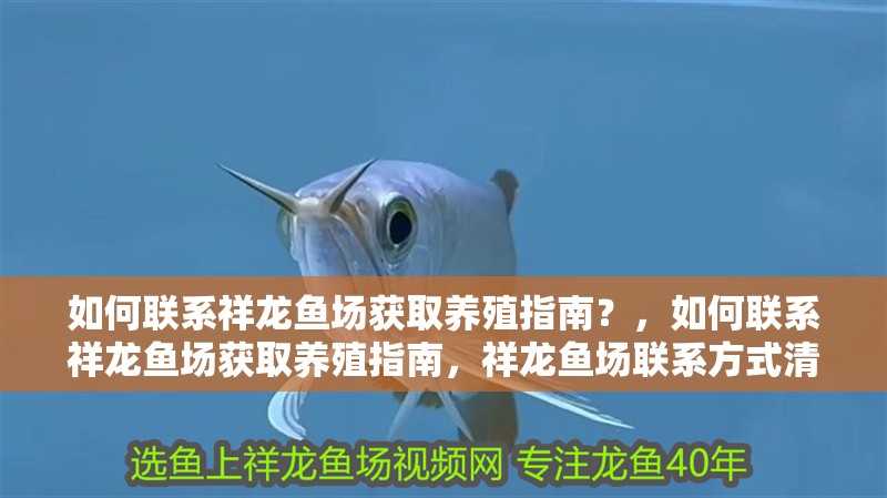 如何聯系祥龍魚場獲取養殖指南？，如何聯系祥龍魚場獲取養殖指南，祥龍魚場聯系方式清單