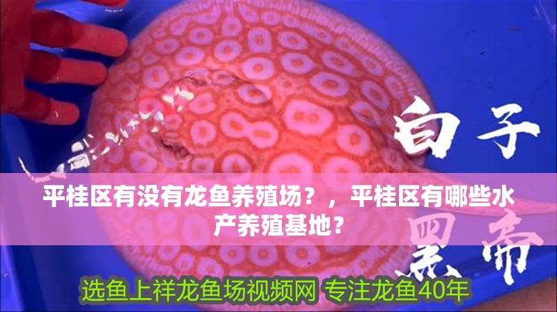 平桂區有沒有龍魚養殖場？，平桂區有哪些水產養殖基地？