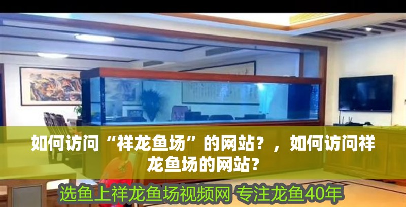詳細閱讀:如何訪問“祥龍魚場”的網(wǎng)站?,如何訪問祥龍魚場的網(wǎng)站? 如何訪問“祥龍魚場”的網(wǎng)站?,如何訪問祥龍魚場的網(wǎng)站?