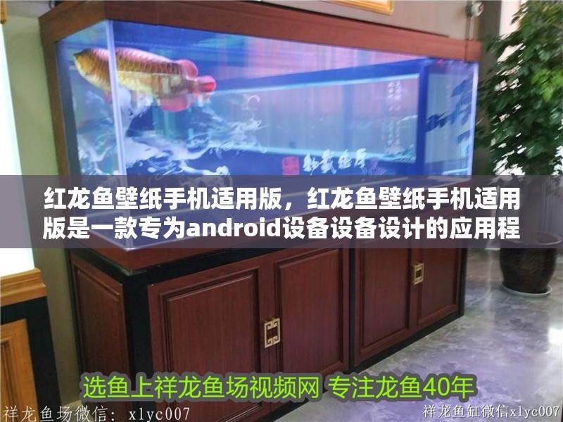 紅龍魚壁紙手機(jī)適用版，紅龍魚壁紙手機(jī)適用版是一款專為android設(shè)備設(shè)備設(shè)計(jì)的應(yīng)用程序