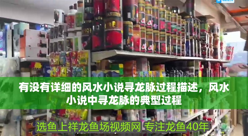 有沒有詳細(xì)的風(fēng)水小說尋龍脈過程描述，風(fēng)水小說中尋龍脈的典型過程